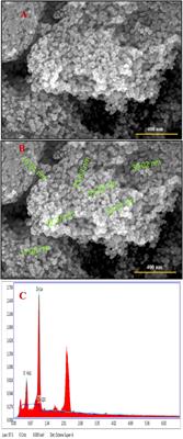 Green route to fabrication of Semal-ZnO nanoparticles for efficient solar-driven catalysis of noxious dyes in diverse aquatic environments